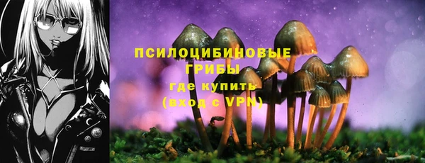 твердый Бердск