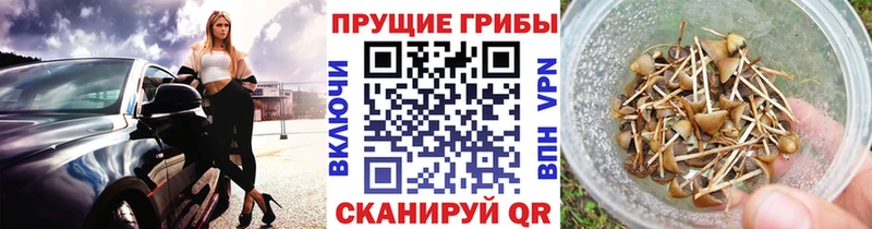 Псилоцибиновые грибы мухоморы  маркетплейс клад  Горнозаводск 